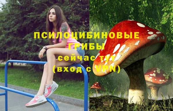 тгк Алексеевка