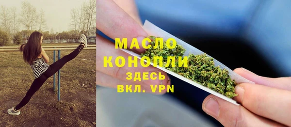 сатива Алзамай