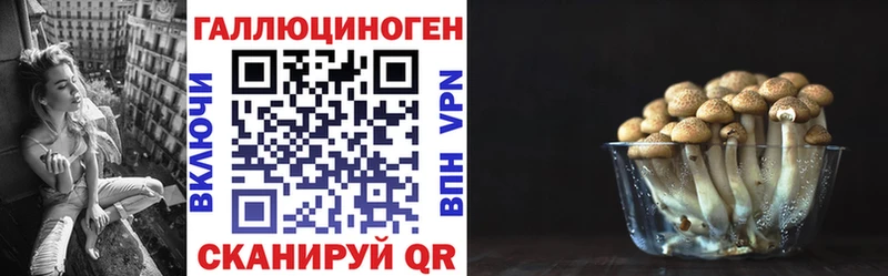 Псилоцибиновые грибы GOLDEN TEACHER  хочу наркоту  Истра 