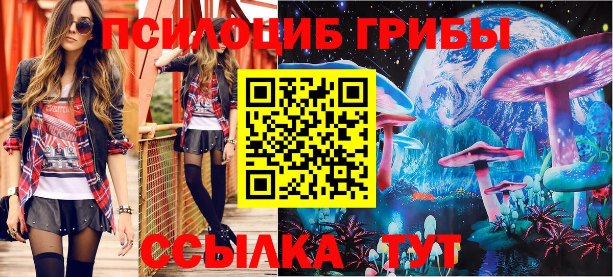 Галлюциногенные грибы мухоморы  Галлюциногенные грибы GOLDEN TEACHER  Истра  Вход с VPN 